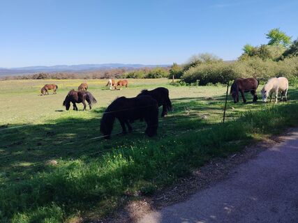 Photo de Ab Zaza le long du parcours