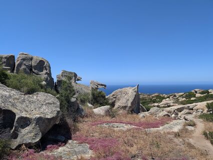 Foto de BettiKreibiehl a lo largo del recorrido