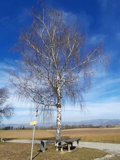 Fotografie de la Christa R. de-a lungul turului