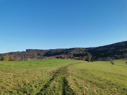 Fotó a Maxspeed honlapról a túra során
