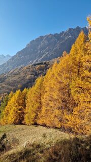 Fotografija s spletne strani Fabrizi Mellano na poti