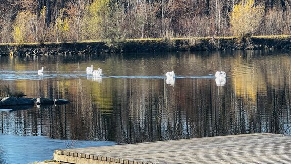 Photo from Sonja Kessler along the tour