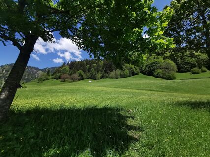 Fotografija s spletne strani Waldläufer na poti