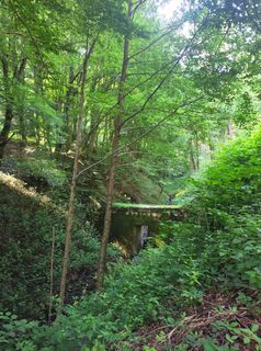 Photo de stuebi le long du parcours