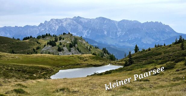 Photo de Veronika Strauss le long du parcours