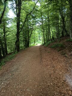 Fotografija s spletne strani Daniel BELAT na poti