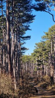 Zdjęcie z Claudia Maurer wzdłuż trasy