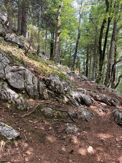 Foto von Raffael entlang der Tour