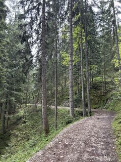 Fotografia z AlexanderK na trase