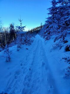 Zdjęcie z Daniel Kremiec wzdłuż trasy