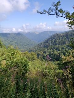 Fotografia z Florian Endres na trase