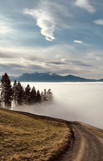 Fotografia z Aurelian Böhler na trase