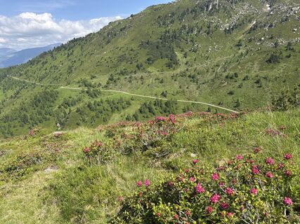 Foto von Matthias Opbacher entlang der Tour