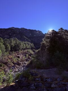 Photo de Jasmin Mainhart le long du parcours
