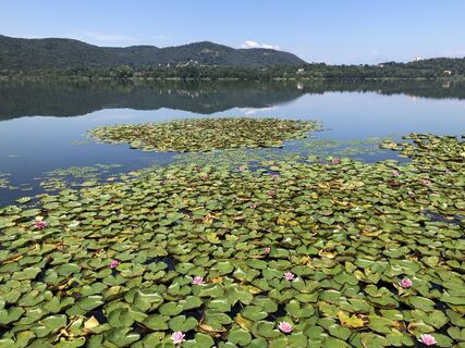 Foto von “Jerry” Brunetti entlang der Tour