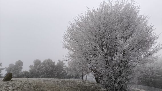 Fotó a WilliSt honlapról a túra során