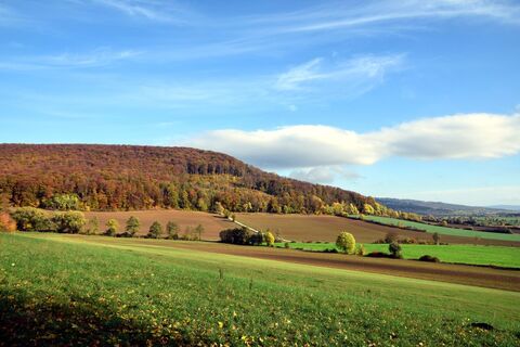Lauenstein_NaturSinnesPfad_9525.JPG