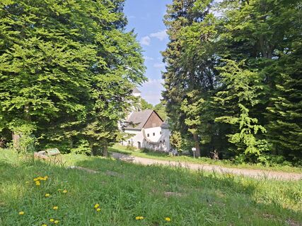 Fotografie z Cvetka Salamon na trase