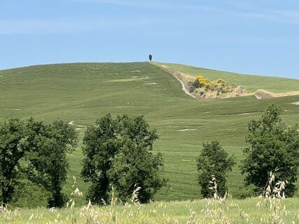 Fotografia z Giulio Vannini na trase