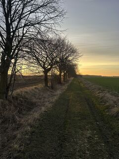 Foto von Dirk Mallow entlang der Tour