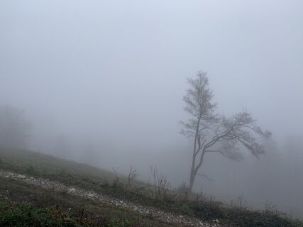 Photo de Leo Fahrngruber le long du parcours