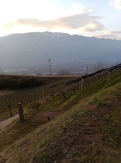 Foto von Andrea G entlang der Tour