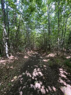 Photo de Melanie Baier le long du parcours