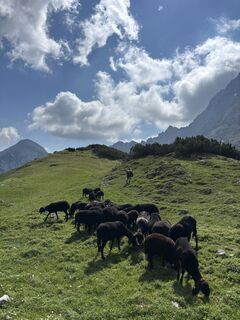 Foto von Samuel Oberhofer entlang der Tour
