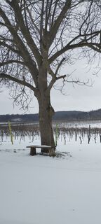 Foto von Christine Fischer entlang der Tour