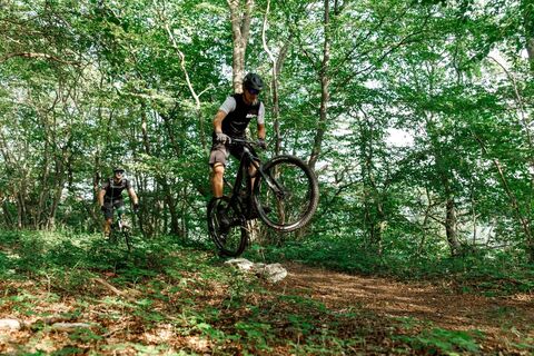 Mountainbiker im Wald
