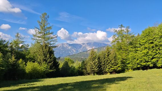 Zdjęcie z Bergpirat wzdłuż trasy