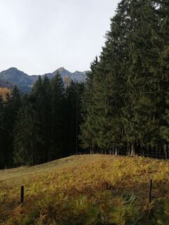 Foto von Derschowieder entlang der Tour