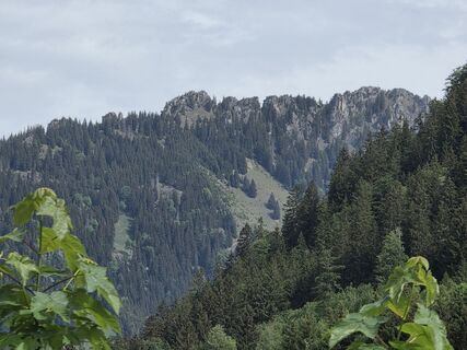 Foto von Silke Vonderlehr entlang der Tour
