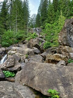 Foto von Gertiziegenhals entlang der Tour