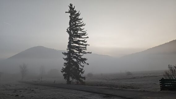 Photo de Bergpirat le long du parcours