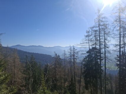 Fotografia z Luca Kapeller na trase