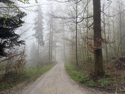 Foto de Jelena Kuehn a lo largo del recorrido