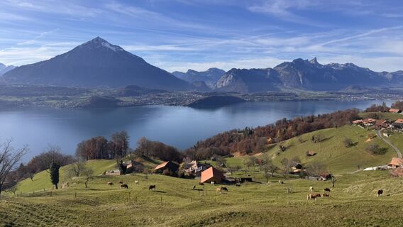 Fotografija s spletne strani peter_oe na poti