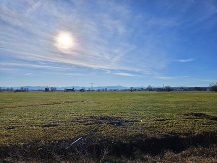 Fotografia z garrincha na trase