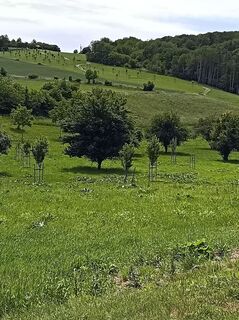 Fotografie z Bergpirat na trase