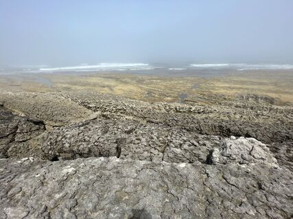 Photo de Florian Brandt le long du parcours
