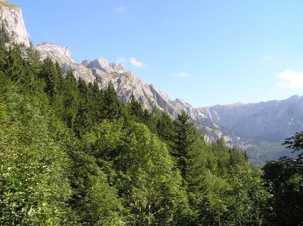 Zur Sonnschienalm