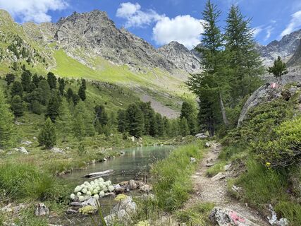 Foto von Han en Christa Jordaan entlang der Tour