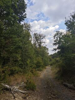Fotografie z Katona Ferk Mariann na trase