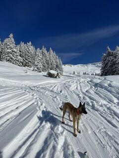 Foto de pedaklaus a lo largo del recorrido