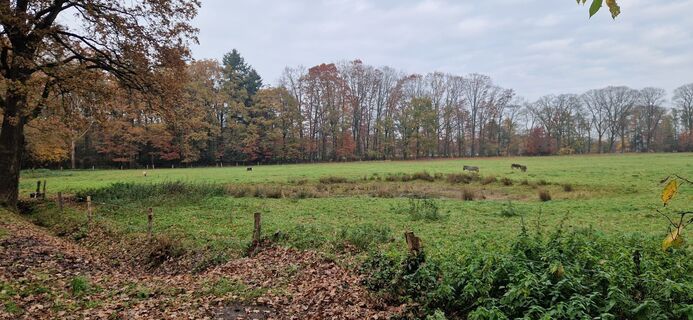 Foto von Reinier Sterkenburg entlang der Tour
