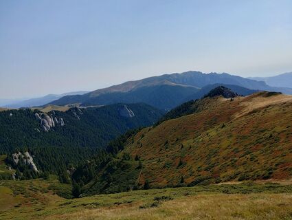 Fotografia z Tasurinki Mitote na trase