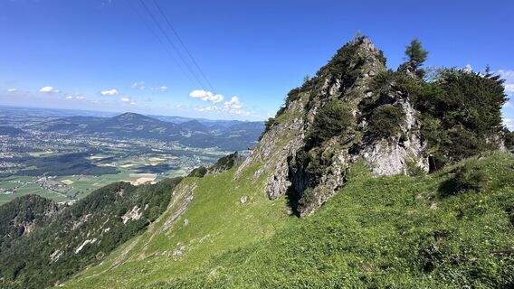 Foto von Mountain Cat ? ⛰️ entlang der Tour