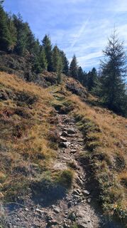 Photo de Urban Wille le long du parcours