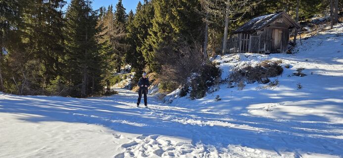 Fotografija s spletne strani JPseines na poti